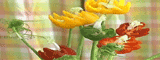 Capsicum Flower 