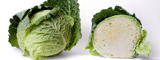 Cabbage 