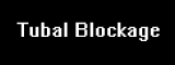 Tubal Blockage 