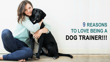 9 Reasons To Love Being A Dog Trainer! 