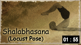 Shalabhasana or Locust pose 