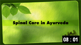 Spinal Care in Ayurveda