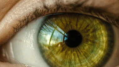 <p>How to deal with Eye Injuries? Dr.Mahesh Gopalakrishnan, Vitreoretinal Surgeon