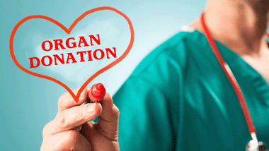 <p>Facts about Organ Donation