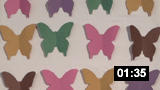 Butterfly Board 