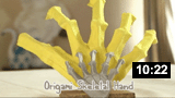 Origami Skeletal Hand 