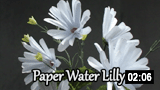 Paper water Lilly 