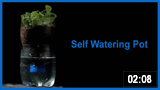 Self Watering Pot 