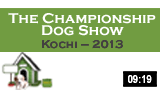 The Championship Dog Show, Kochi – 2013 