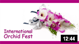 International Orchid Fest � 2014 