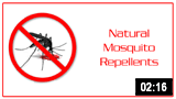 Natural Mosquito Repellents 