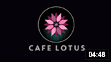 Caf� Lotus � Gandhi Nagar 