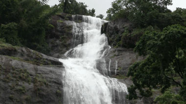 Cheeyappara Falls 