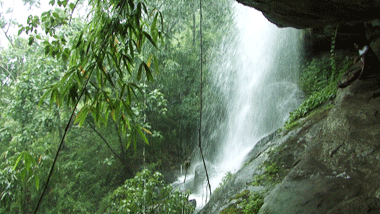Trekking to Miracle Waterfalls | Mankulam Tourism 
