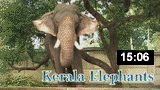 Part 1: Kerala Elephants (Malayalam)