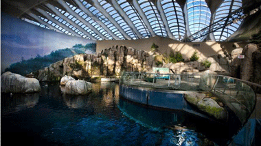 Montreal Biodome | The World Under One Roof!